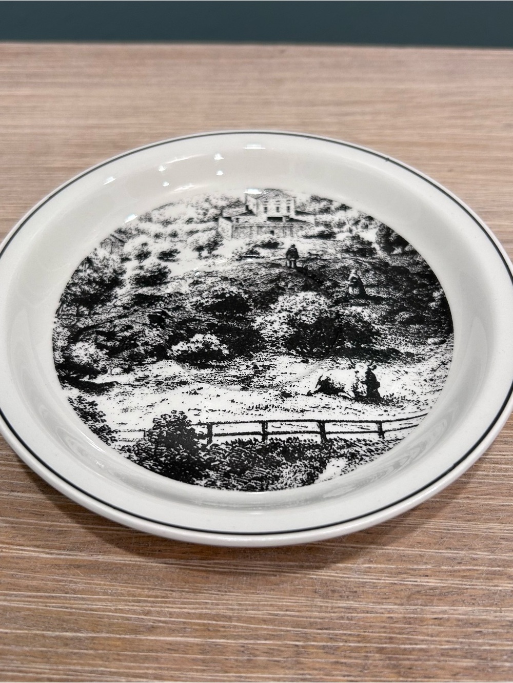 Vintage 1970 Arabia Finland Magnus von Wright Landscape 5” Round Saucer